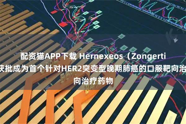 配资猫APP下载 Hernexeos（Zongertinib）获批成为首个针对HER2突变型晚期肺癌的口服靶向治疗药物