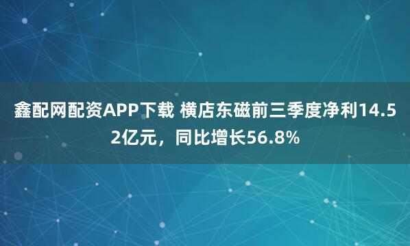 鑫配网配资APP下载 横店东磁前三季度净利14.52亿元，同比增长56.8%